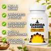 Nuevo CANDIDA CLEANSE™ - Alivio de la hinchazón, el bienestar digestivo y flora intestinal ✨