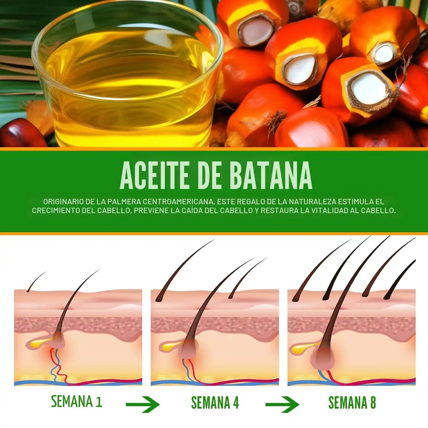 Nuevo Aceite de Batana para Caída, Brillo y Reparación ✨ - BUSTEO STORE