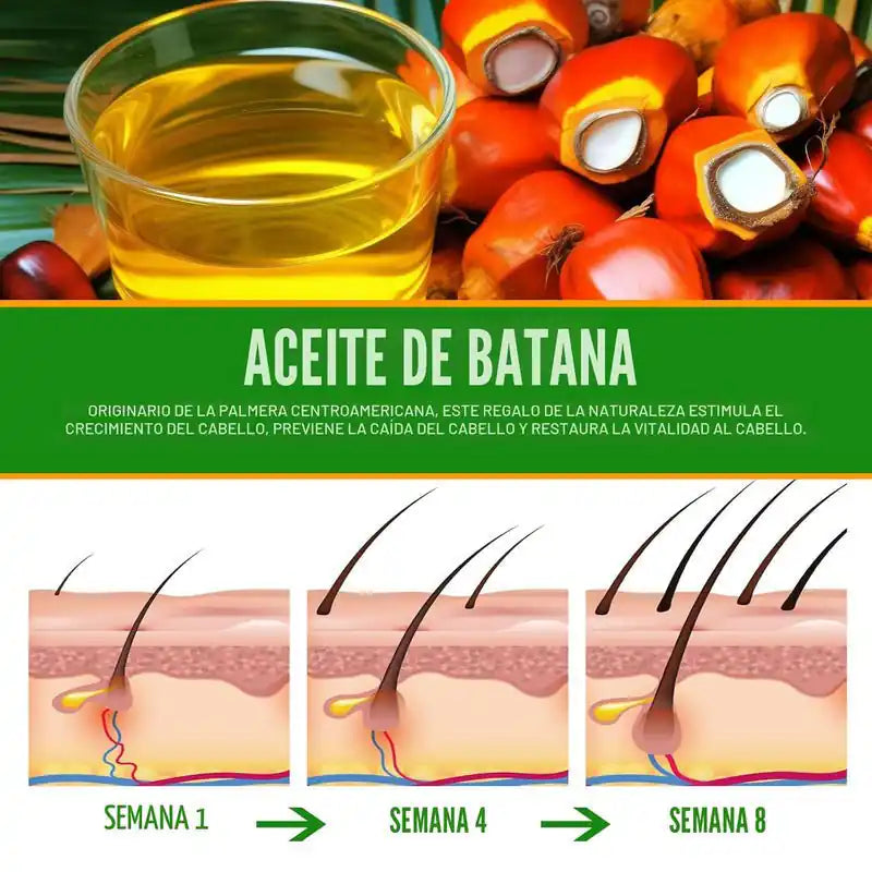Nuevo Aceite de Batana para Caída, Brillo y Reparación ✨ - BUSTEO STORE