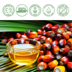 Nuevo Aceite de Batana para Caída, Brillo y Reparación ✨ - BUSTEO STORE