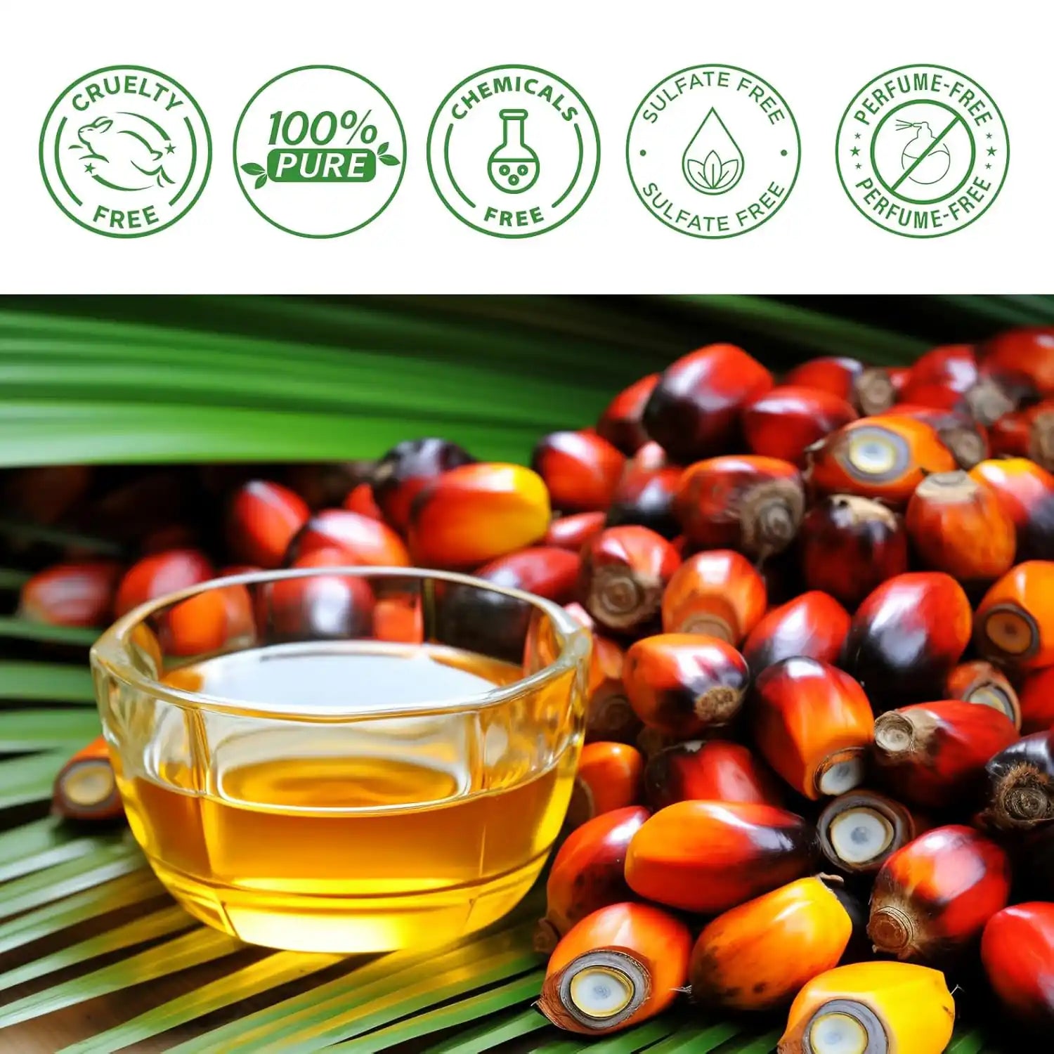 Nuevo Aceite de Batana para Caída, Brillo y Reparación ✨ - BUSTEO STORE